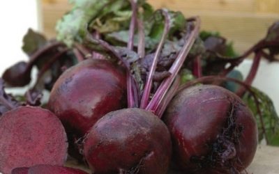 The Benefits of Dr Beetroot